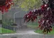 Dâmbovița. Alertă meteo de vreme rea! Cod galben de ploi torențiale, vijelii și grindină