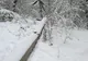 Probleme produse de prima zăpadă, în Dâmbovița! Pompierii au intervenit pentru a înlătura arbori și stâlpi căzuți