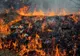 Dâmbovița. 2000 metri pătraţi de vegetație uscată, mistuite de flăcări 