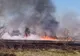 Dâmboviţa. Un bărbat a murit într-un incendiu de vegetaţie uscată
