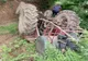 Dâmboviţa. La un pas de moarte după ce s-a răsturnat cu tractorul şi a rămas prins sub el