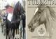"Paștele cailor" sărbătorit anul acesta în data de 16 martie, de bulgarii din Târgoviște