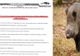 Pesta porcină africană lovește iarăși Dâmbovița. DSVSA confirmă focarul de la Butimanu