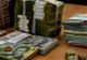 Evaziune fiscală cu prejudiciu uriaș, probată de polițiști, la o societate comercială din Potlogi