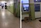 Un clip cu un câine, plimbându-se liber printr-un spital, face "senzație" pe internet