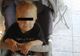 Mama copilului decedat la Sanador, după decizia Colegiului Medilor: „E o mizerie”