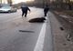 Video| Imagini incredibile pe DN 72, în Dâmbovița. Un porc mistreț blochează șoseaua