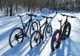 Amendă în grup pentru mai mulți bicicliști ce consumaseră băuturi alcoolice