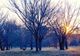 Iarnă doar în calendar. Temperaturi peste mediile perioadei, aproape de 20 de grade Celsius, anunțate de meteorologi.