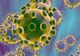Al șaptelea caz de infectare cu Coronavirus, din România, a fost confirmat. Este tot în Timișoara
