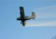 La Titu se vor executa tratamente aviochimice de combatere a insectelor