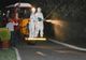Dezinsecţie la Târgovişte pentru combaterea tigrului de platan, ţânţarilor și căpușelor