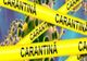 Dâmbovița. S-a instituit carantina zonală în satele Valea Mare, Valea Caselor şi Gârleni din comuna Valea Mare