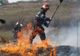 Un incendiu de vegetație a izbucnit la marginea Autostrăzii A1. Pentru lichidarea acestuia au intervenit pompierii din Găești