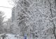 Fenomene meteo EXTREME, în România: cod galben de ninsori, polei și vânt puternic - rafale de până la 100 km/h
