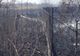 Incendiu puternic de vegetație uscată într-o comună din apropierea Târgoviștei