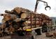 Dâmbovița: Amendați drastic pentru transport de material lemnos fără documente legale