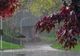 Dâmbovița. Alertă meteo de vreme rea! Cod galben de ploi torențiale, vijelii și grindină