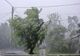 Avertizare meteo de vreme severă în nordul Dâmboviței! Meteorologii anunță cod galben de vânt puternic