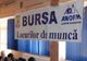 Dâmboviţa. S-au angajat 287 de persoane participante la Bursa locurilor de muncă pentru absolvenți