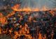 Dâmbovița. 2000 metri pătraţi de vegetație uscată, mistuite de flăcări 