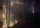 Incendii de vegetație, pe 17 hectare, în Dâmbovița și Prahova