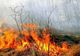Dâmboviţa. Incendiu puternic de vegetație în apropierea unui depozit. O persoană a făcut atac de panică